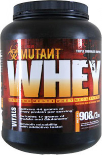 Fit Foods Whey, 908 гр