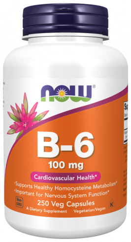 NOW B-6 100 mg