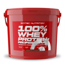 Scitec Nutrition 100% Whey Protein Professional, 5000 гр